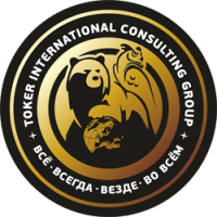 TOKER INTERNATIONAL CONSULTING GROUP